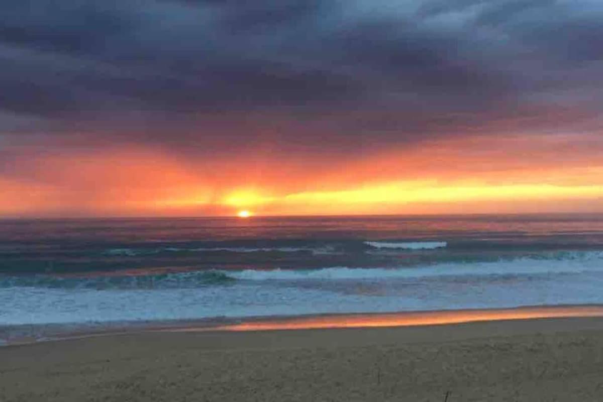 La Graviere, Cozy Studio Wifi & Parking 20M Ocean Surf Plage Soorts-Hossegor Ngoại thất bức ảnh