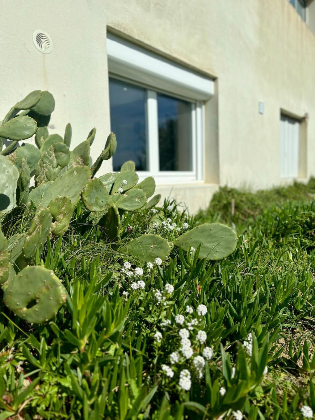 La Graviere, Cozy Studio Wifi & Parking 20M Ocean Surf Plage Soorts-Hossegor Ngoại thất bức ảnh